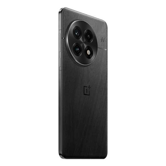 OnePlus 13 16/512Gb Dual nanoSim Черный (CN)